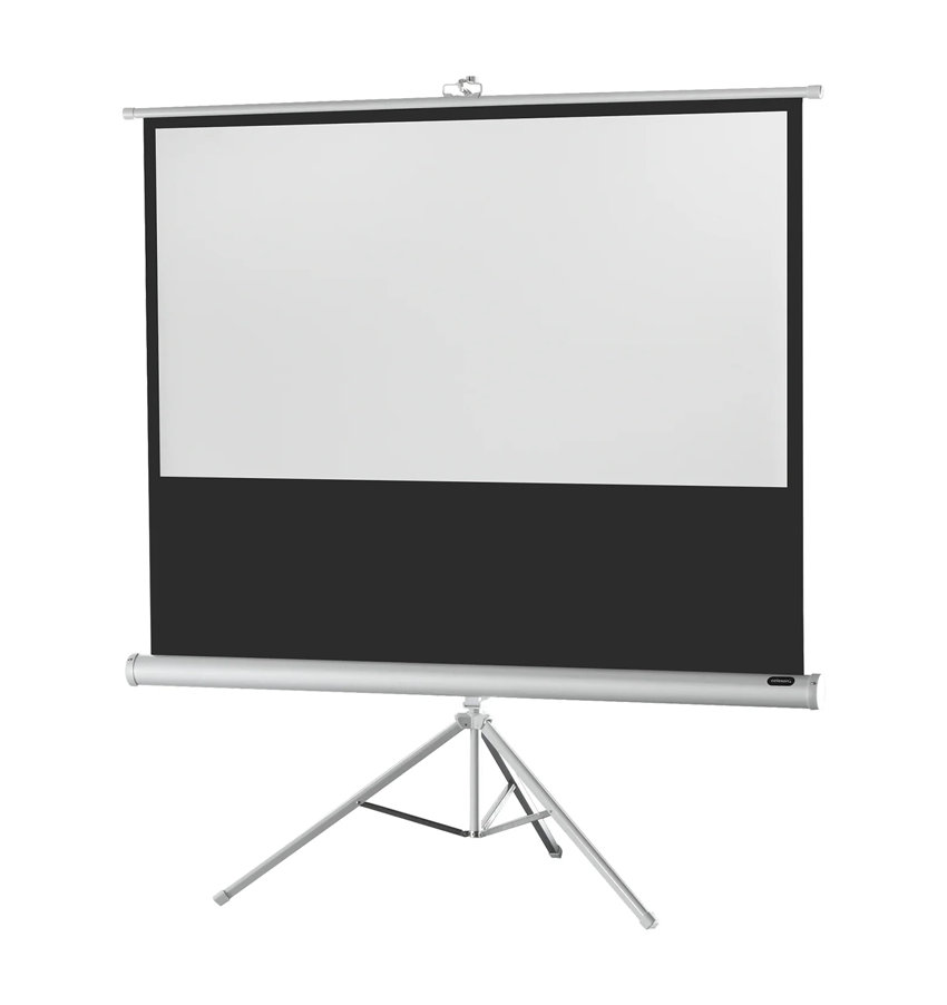 celexon Stativ-Leinwand Economy - 16:9 - BM 133 x 75 - Aufprojektion - White Edition