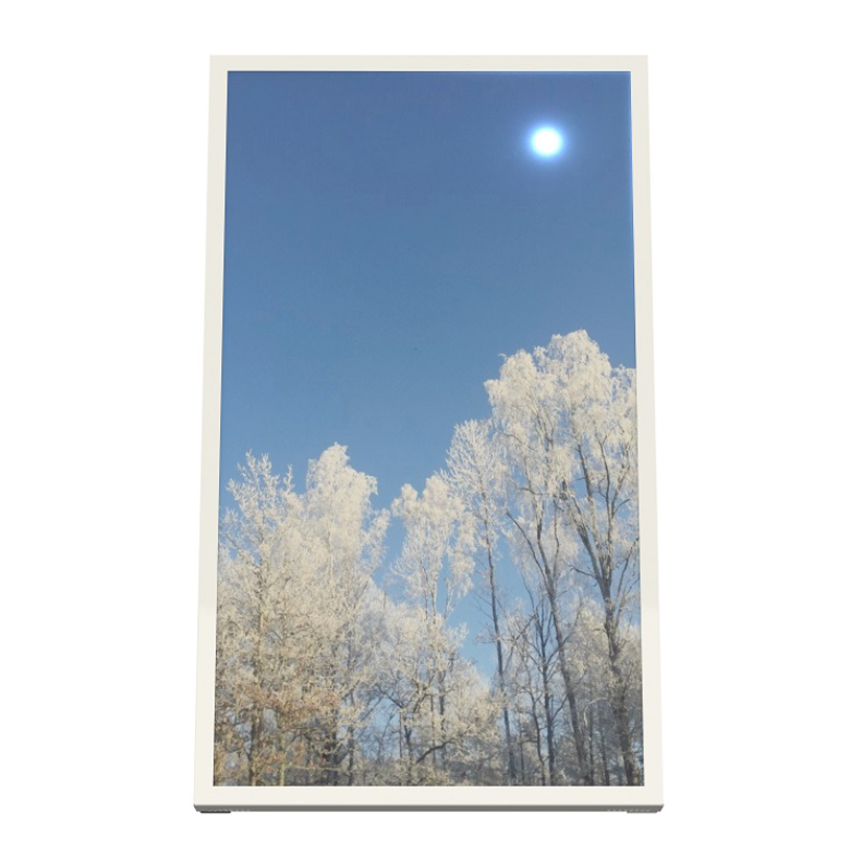 HI-ND Wall Casing Easy WC2412-5001-01 - Wandgehäuse - 24 Zoll Portrait - für Samsung QB24 - Weiß