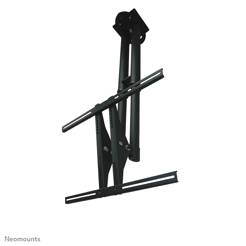 Neomounts PLASMA-C100BLACK - adjustable ceiling mount - 37-75 inch - VESA 800x450mm - up to 50kg - black