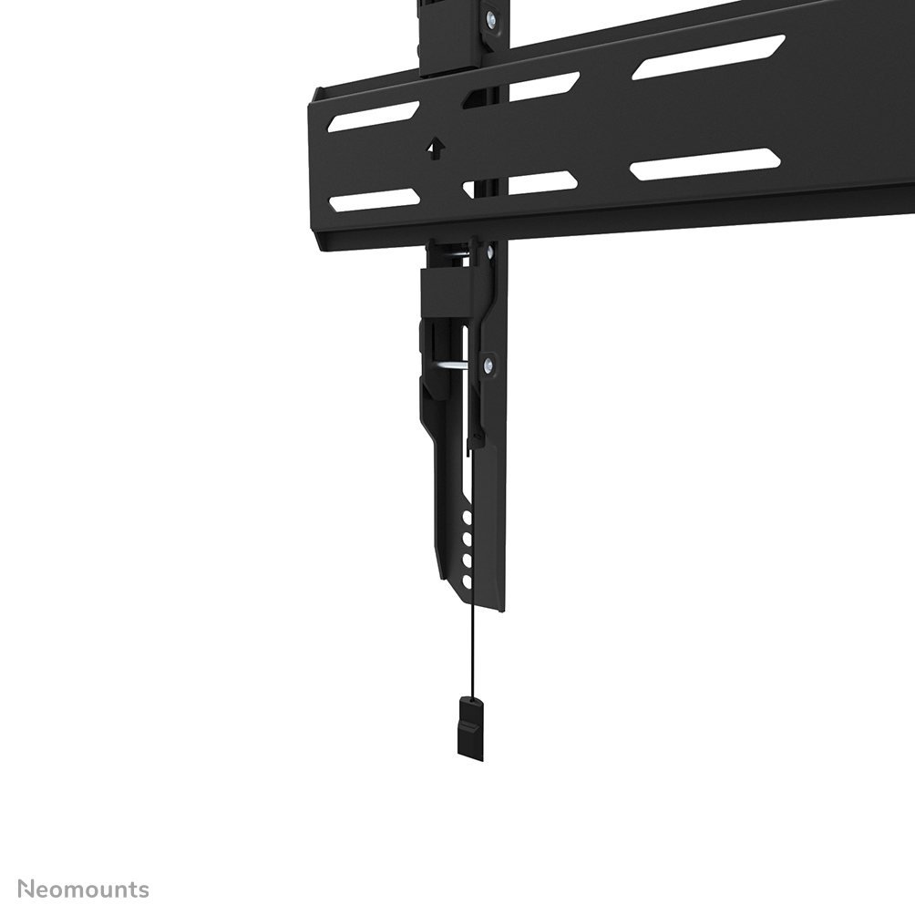 Neomounts WL30S-850BL16 - fixe Wandhalterung - 40-82 Zoll - VESA 600x400mm - bis 70 kg - Schwarz