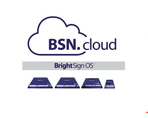 BrightSign BSN.cloud Lizenz - für BrightSign Player - Laufzeit 1 Jahr - 1 Player - Abonnement