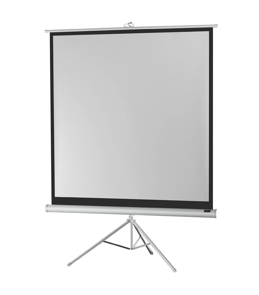 celexon Stativ-Leinwand Economy - 1:1 - BM 219 x 219 - Aufprojektion - White Edition