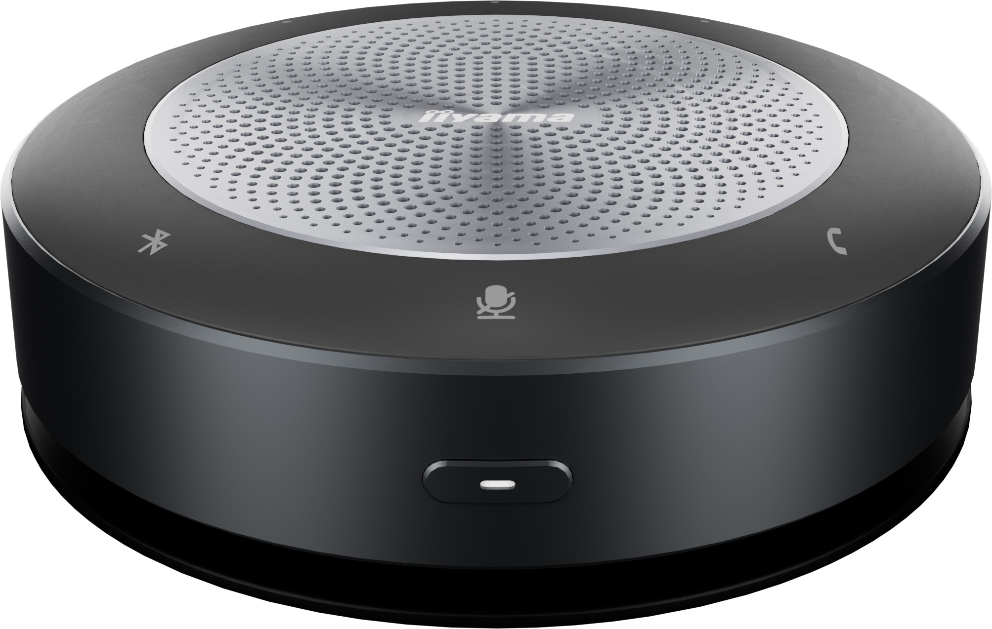 iiyama UC SPK01L - Bluetooth-Lautsprecher für große Meetingräume - Schwarz