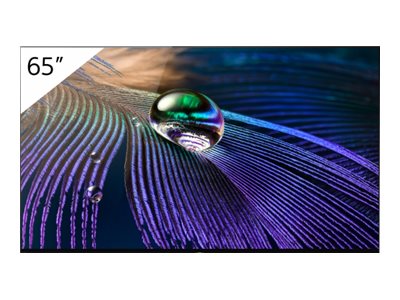 Sony FWD-55A90J - 55 Zoll - UHD - 3840x2160 Pixel - Android - OLED-BRAVIA Professional Display - MASTER-Serie