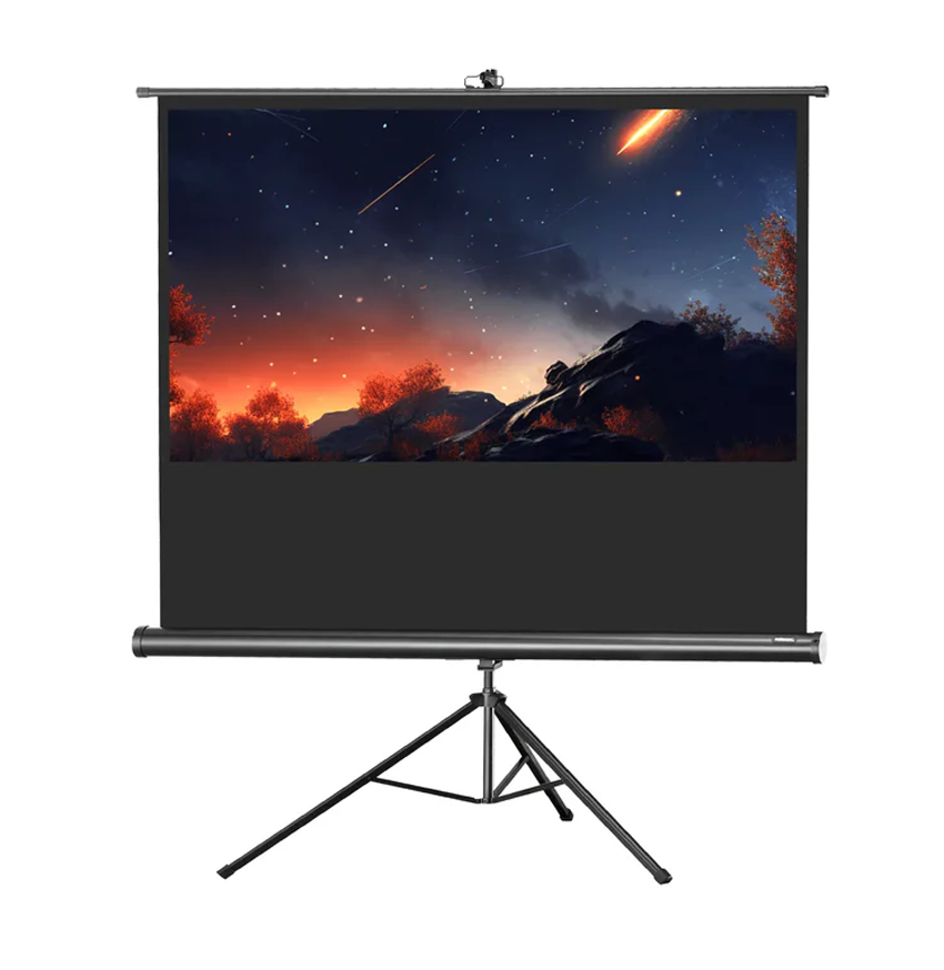 celexon Stativ-Leinwand Economy - 16:9 - BM 184 x 104 - Aufprojektion - Schwarz