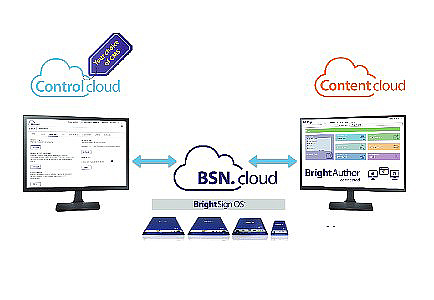 BrightSign BSN.cloud licence - for BrightSign Player - term 1 year - 1 player - subscription